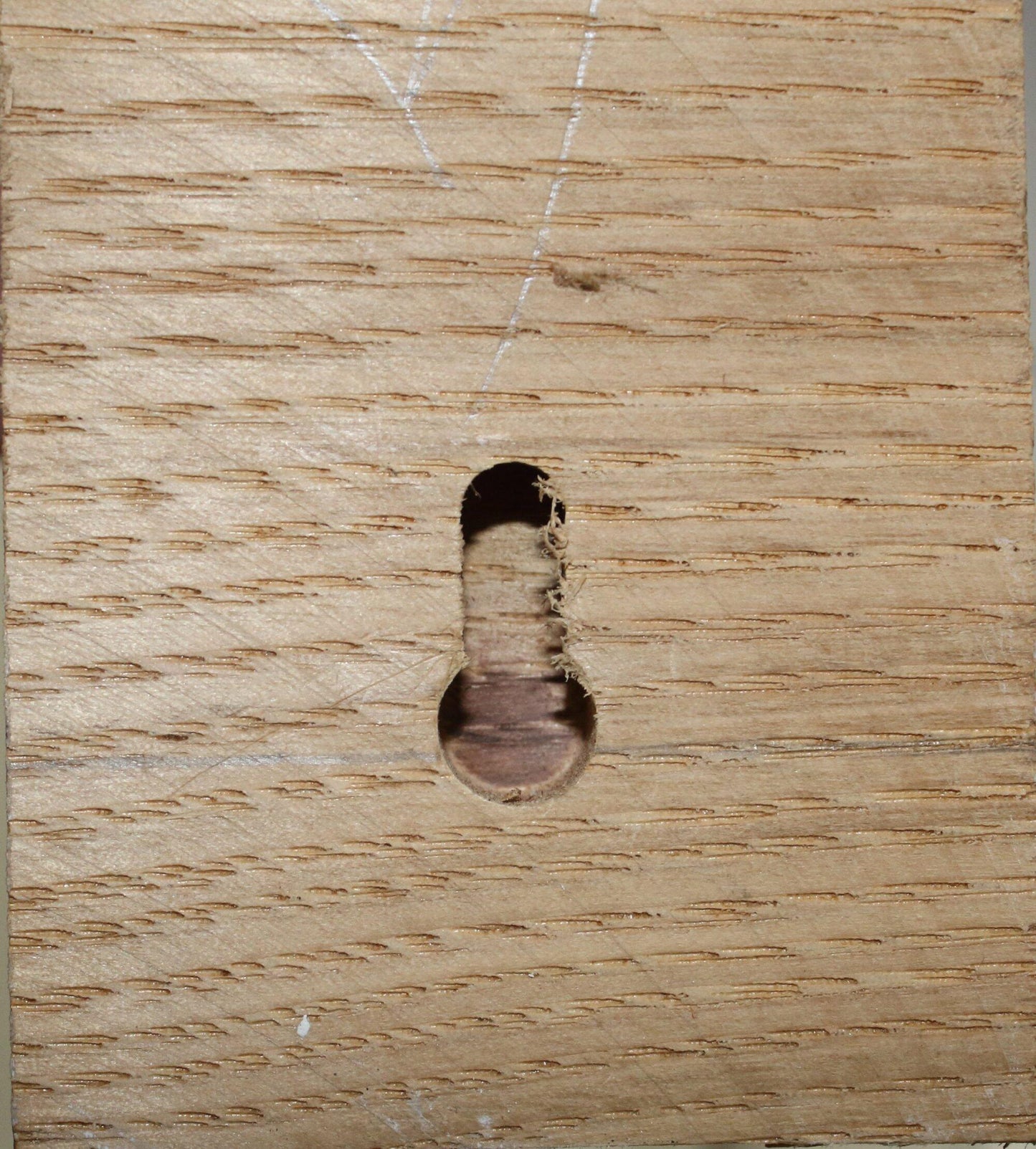 keyhole slot shown for mounting.