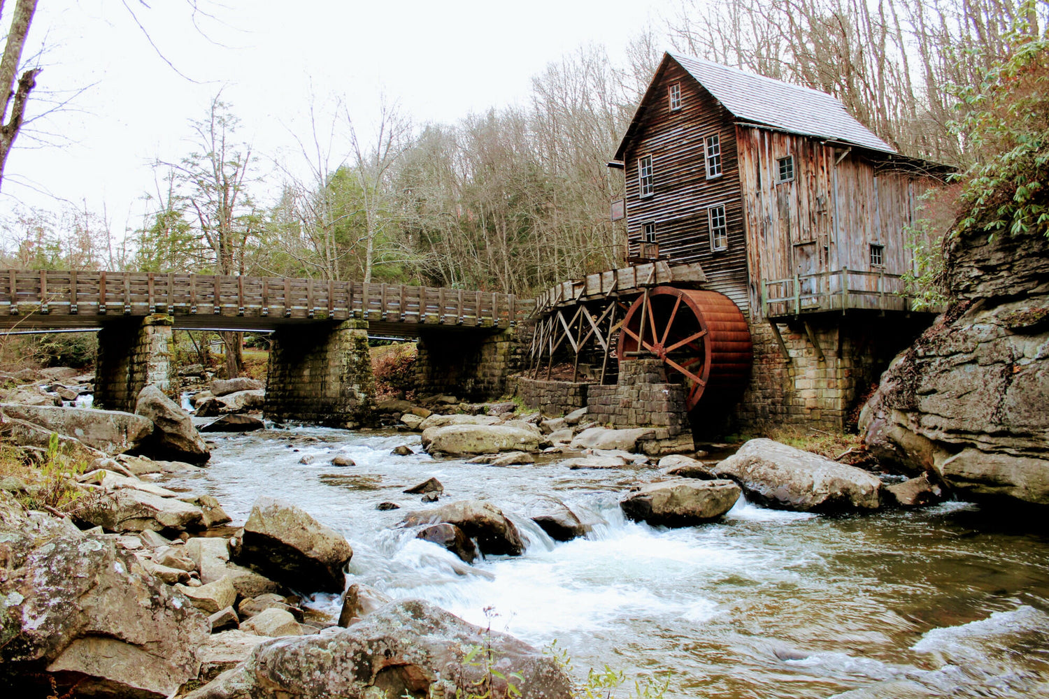 Wood mill
