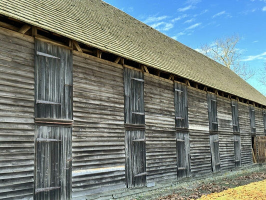Why Is Some Barnwood Siding Grey?