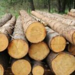 Wood Colors: A Quick Guide For Your Next Reclaimed Wood Installation