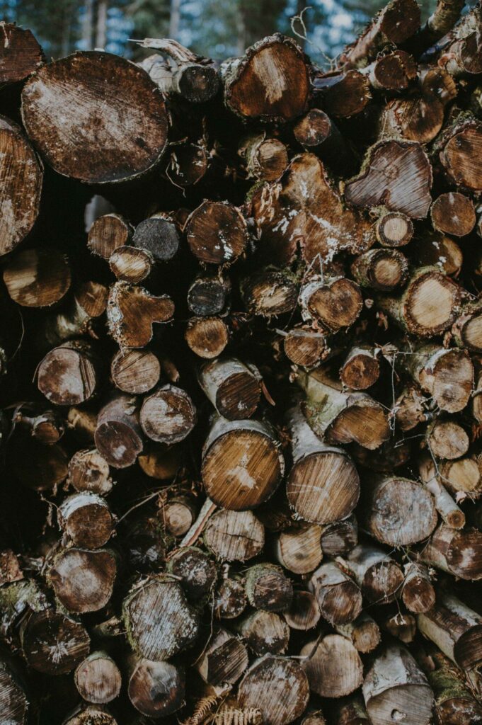 Hardwood vs Softwood – What’s the Difference?