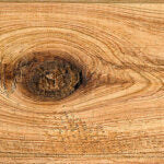 Wood Identifiers: Grains, Deposits & More