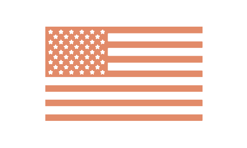 American flag icon