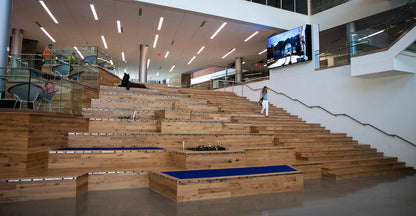 Racehorse Oak Red & White Mix Clean Face wood flooring used in a university common area with large cat sculpture with woman walking down stairs below a large television on wall