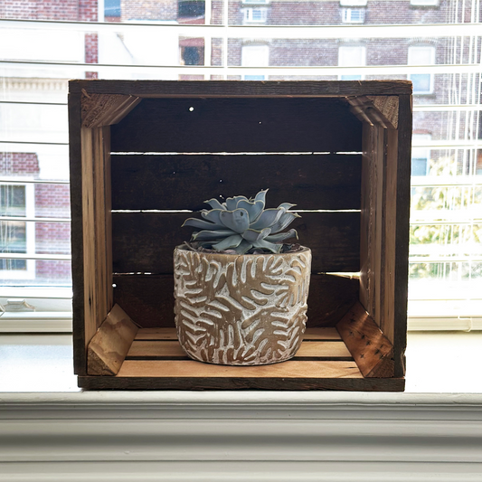 small wooden crate made from reclaimed wood displayed in a window. View is with crate bottom showing outward to viewer with a small plant inside. Inside view of crate shows variances in wood color and corner supports.