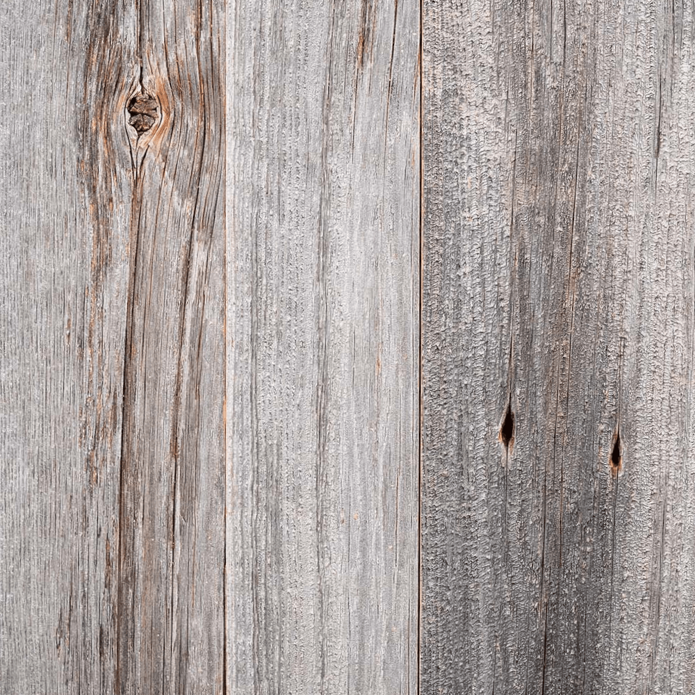 close up of weathered grey barnwood paneling. Shows color variations, texture, knots, and nail holes in the wood.